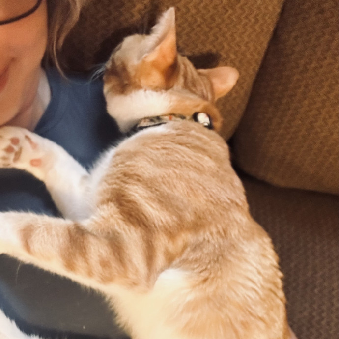 Compassionate Cat Sitter In Winston
