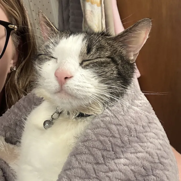 Compassionate Cat Sitter In Winston photo 2