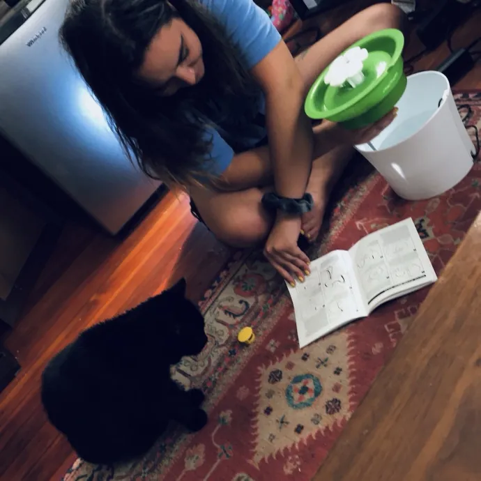 Your Cats Temporary Bff