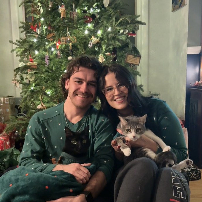 Trusted Care For Your Feline Family