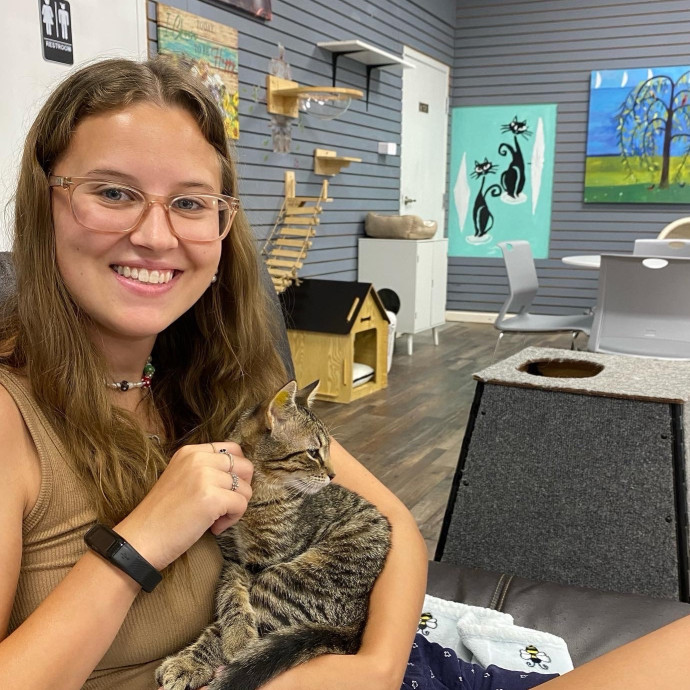 Trusted Care For Your Feline Family