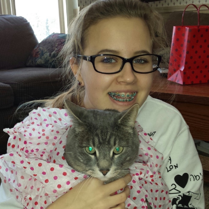 Trusted Care For Your Feline Family