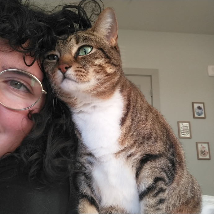 Local Sitter Seeking New Felines