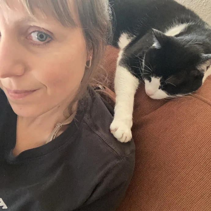 Katie's Cozy Kitty Care