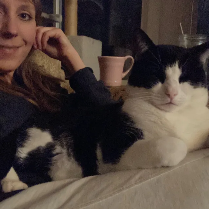 Katie's Cozy Kitty Care