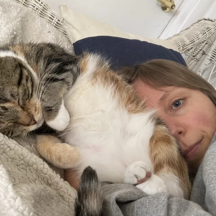 Katie's Cozy Kitty Care