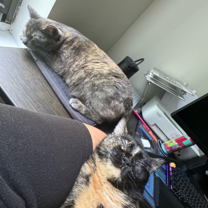 A Cat Mom With A Lot Of Love To Give