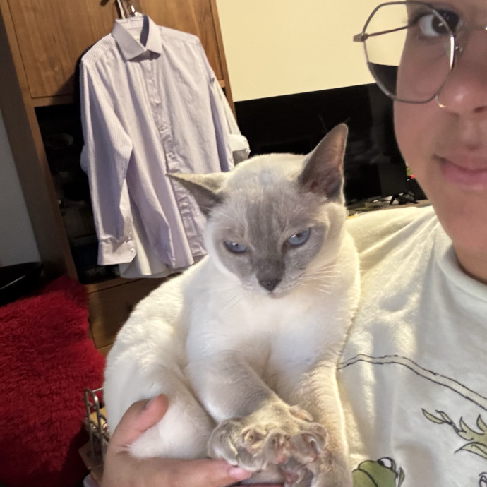 A Cat Mom With A Lot Of Love To Give