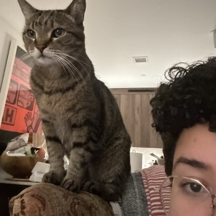 A Cat Mom With A Lot Of Love To Give