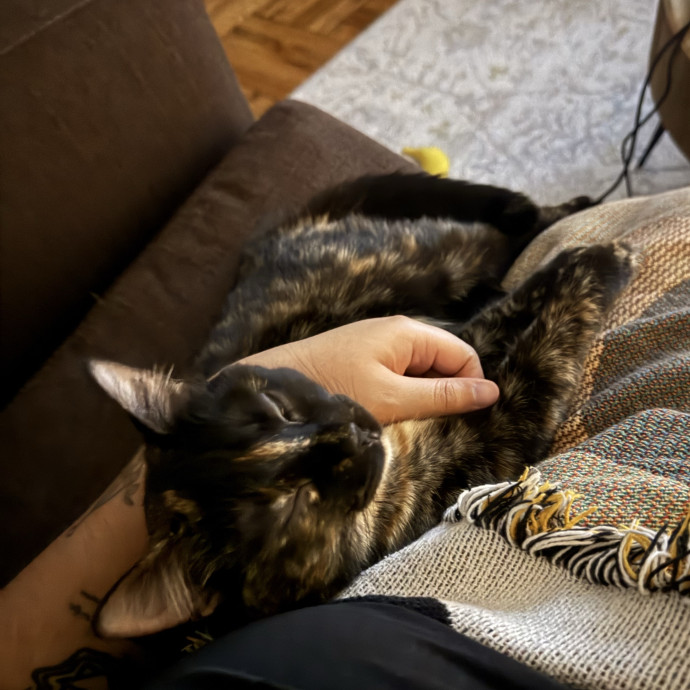 A Cat Mom With A Lot Of Love To Give photo 2