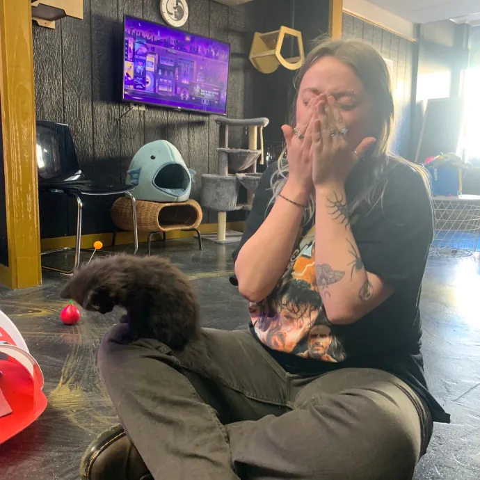 Venus's High Country Cat Care