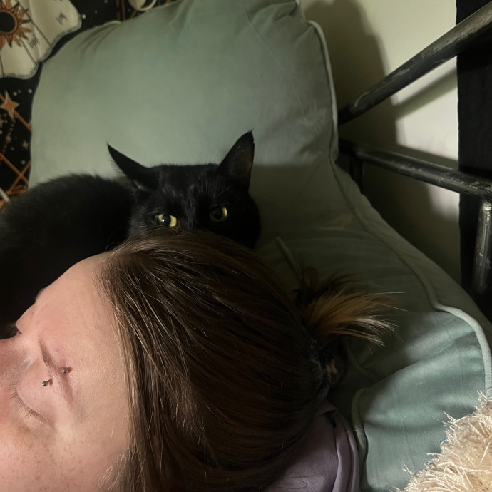Venus's High Country Cat Care