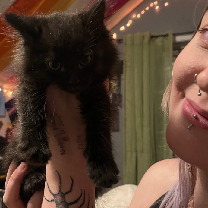 Venus's High Country Cat Care