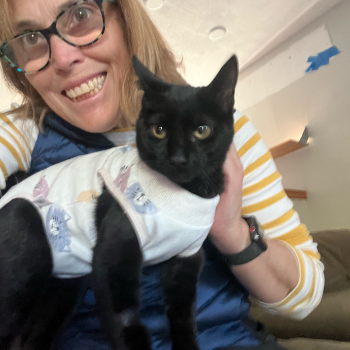 Happy Kitty Cat Sitting