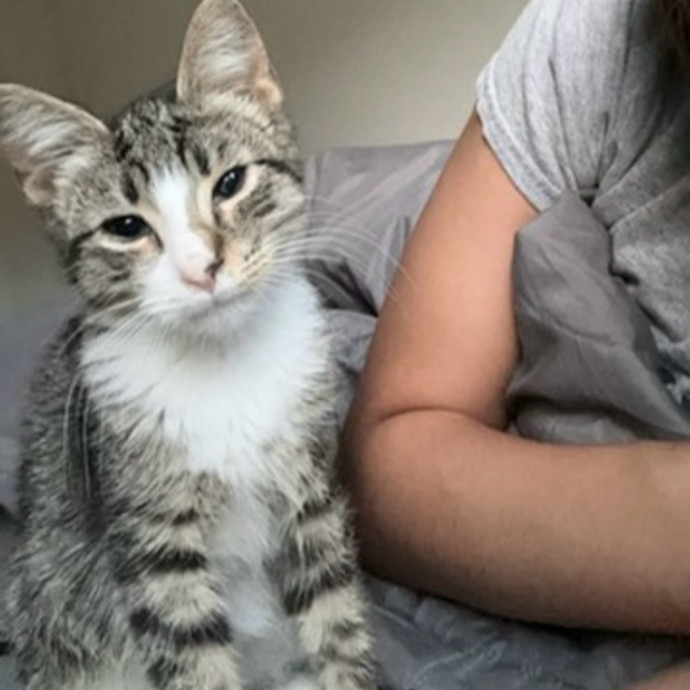 Anna's Purr Play Care
