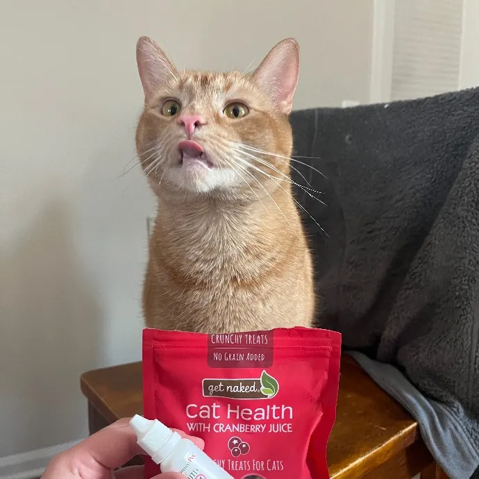 Emily's Purr-Ific Cat Care