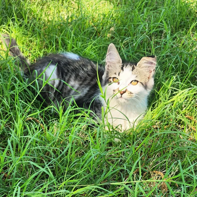 Caring Kind And Confident Sitter