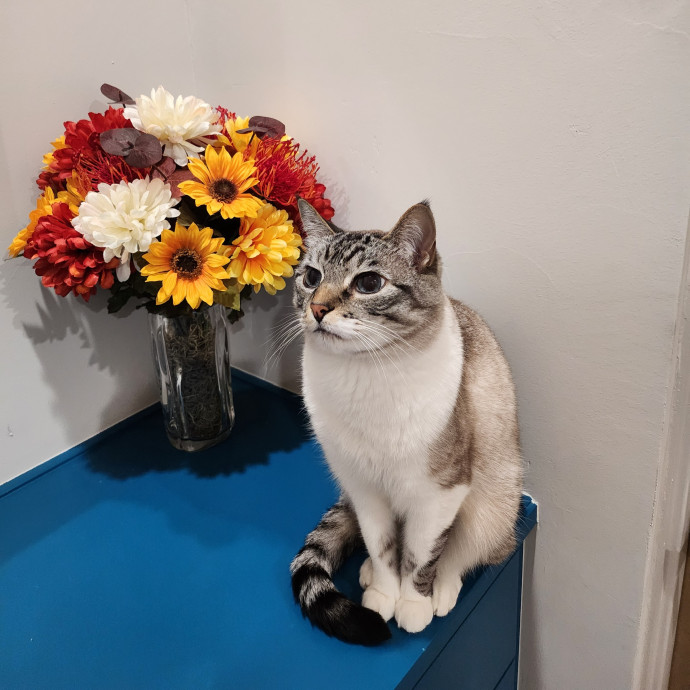Caring Kind And Confident Sitter