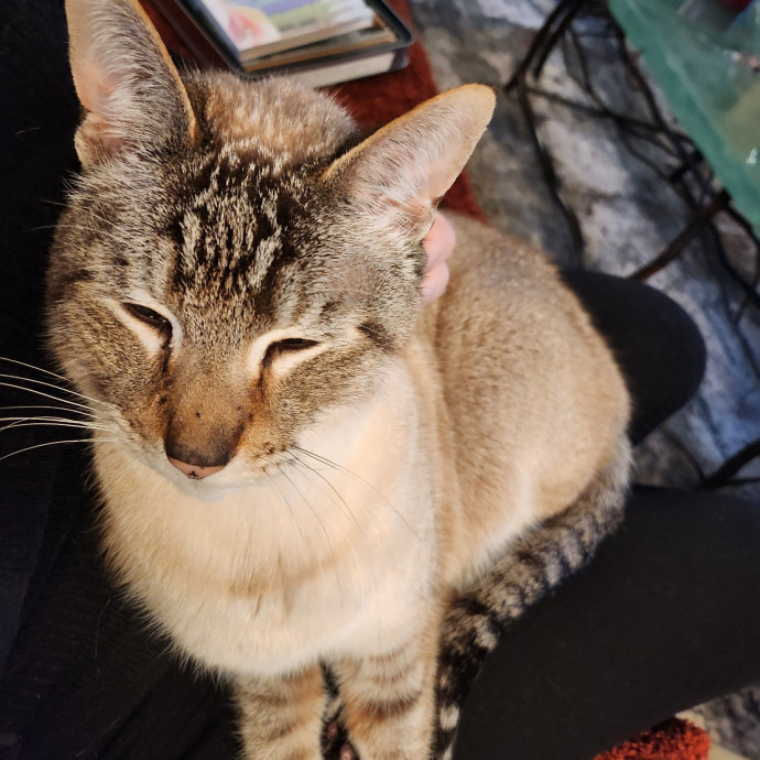 Caring Kind And Confident Sitter