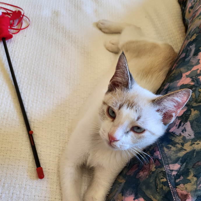 Caring Kind And Confident Sitter