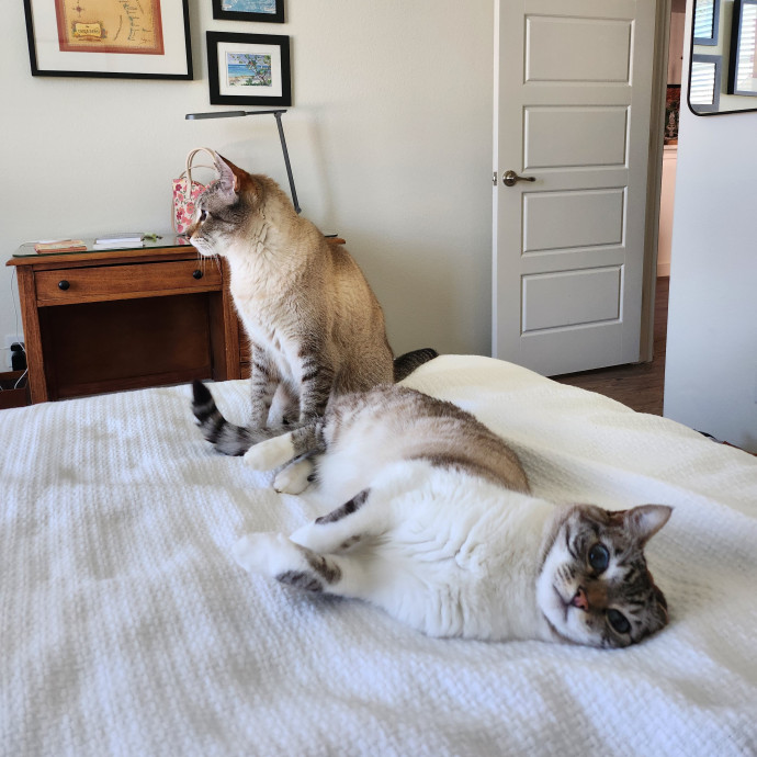 Caring Kind And Confident Sitter