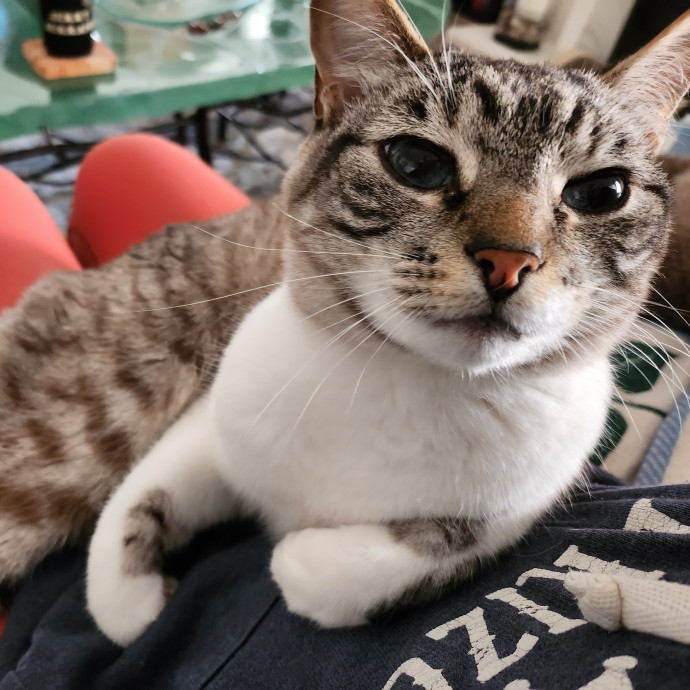 Caring Kind And Confident Sitter