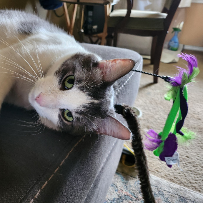 Caring Kind And Confident Sitter