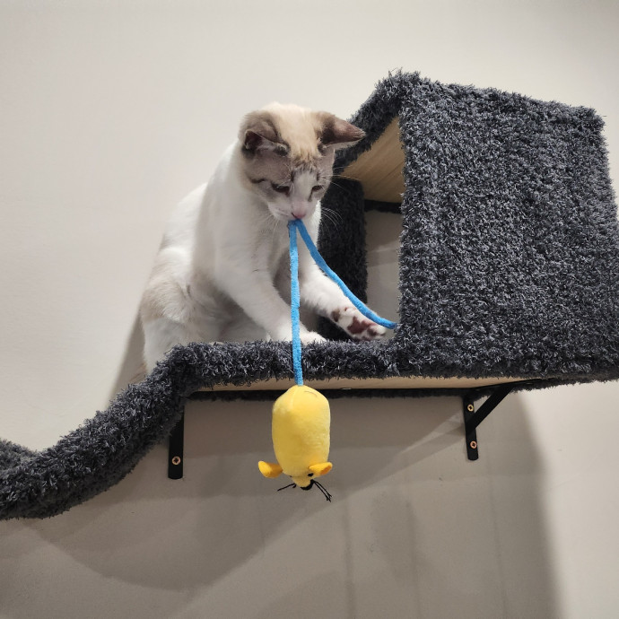 Caring Kind And Confident Sitter