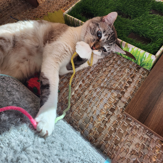 Caring Kind And Confident Sitter