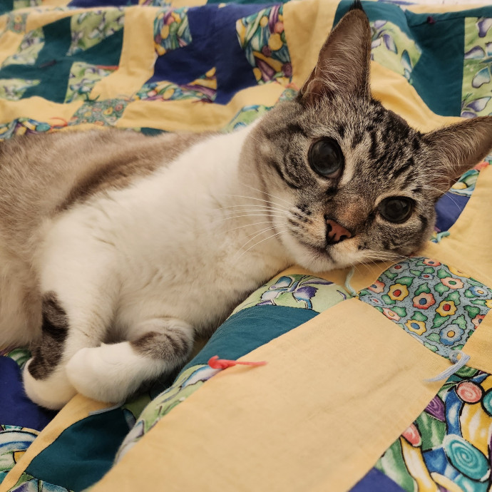 Caring Kind And Confident Sitter