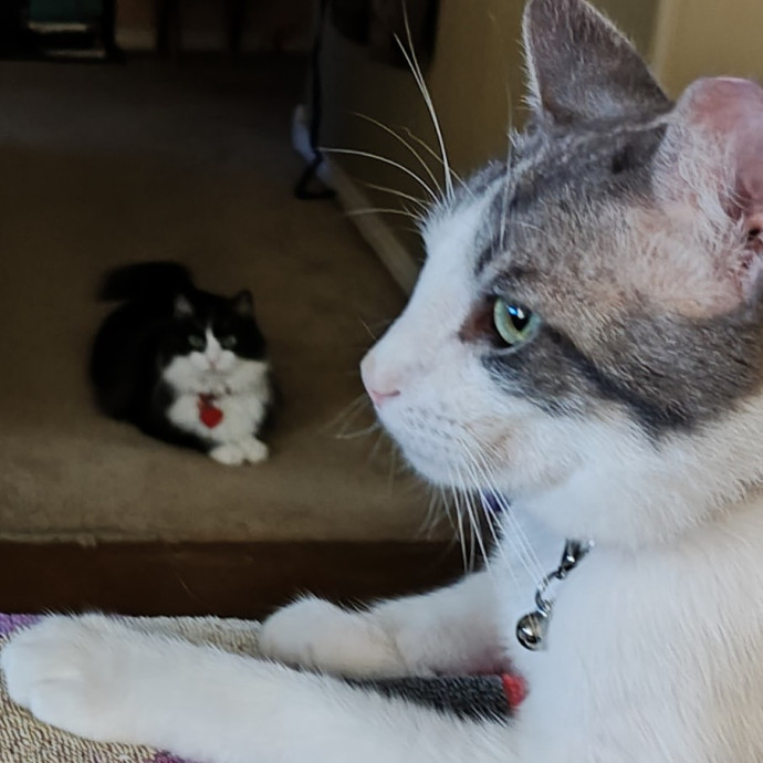 Caring Kind And Confident Sitter
