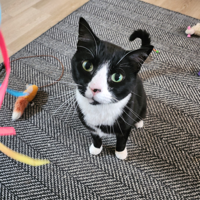 Caring Kind And Confident Sitter