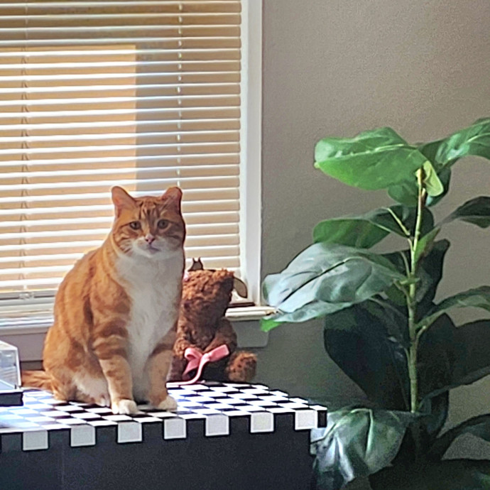 Caring Kind And Confident Sitter