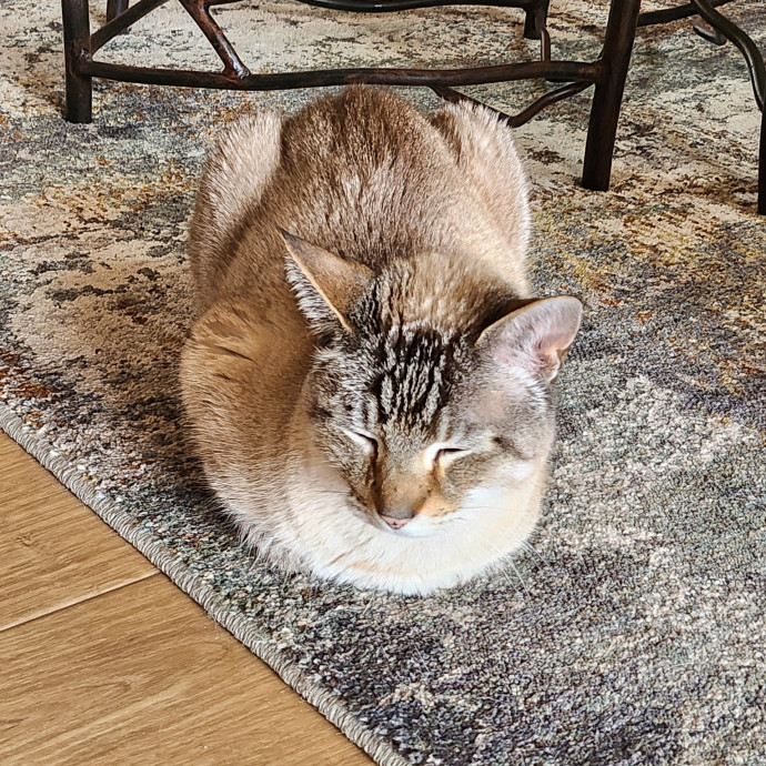Caring Kind And Confident Sitter