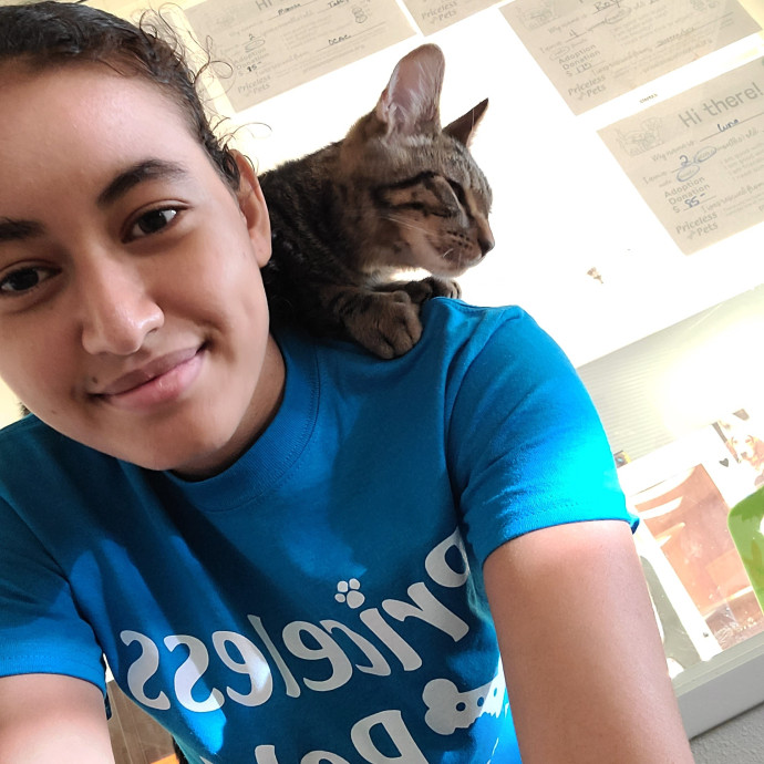 Cat Owner Lover And Rescuer