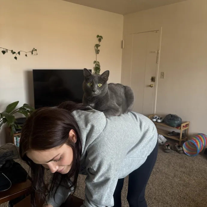 Loving  Experienced Cat Sitter
