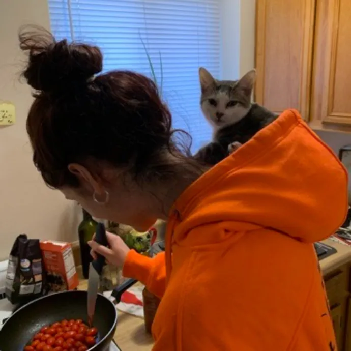 Loving  Experienced Cat Sitter