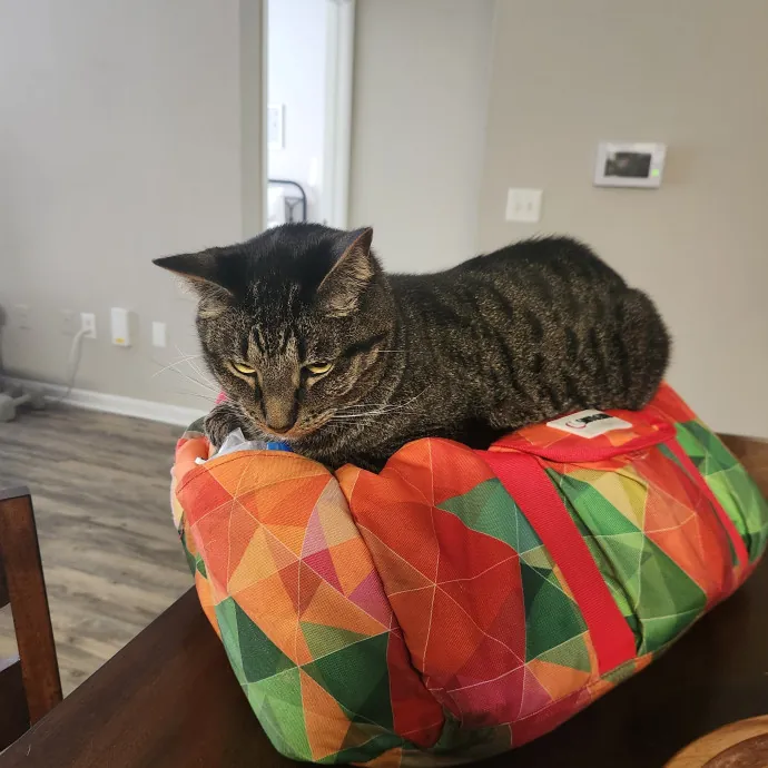 Penny H.