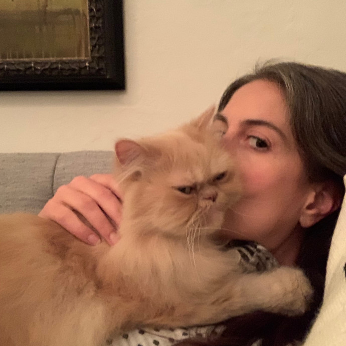 Chateau Gato - San Francisco Cat Sitting