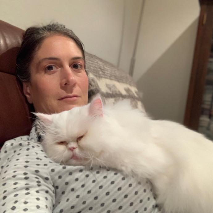 Chateau Gato - San Francisco Cat Sitting