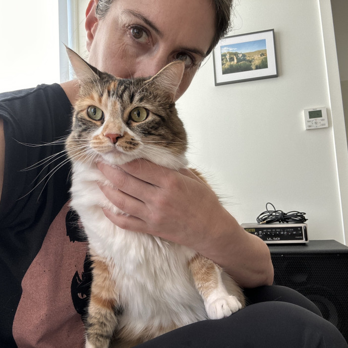 Chateau Gato - San Francisco Cat Sitting