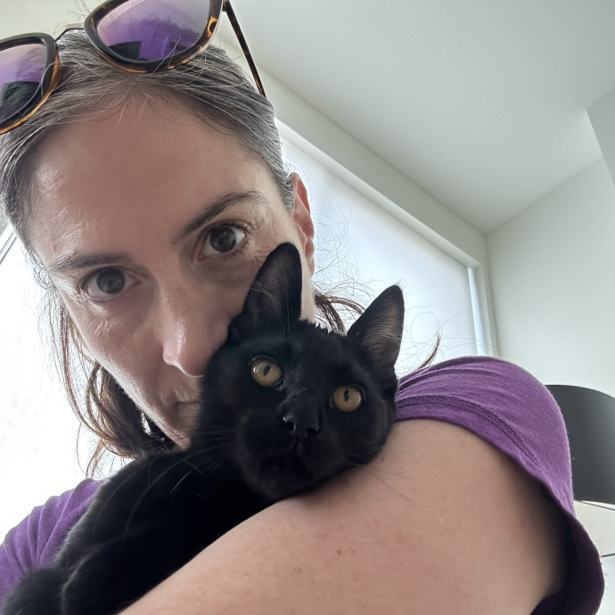 Chateau Gato - San Francisco Cat Sitting photo 2