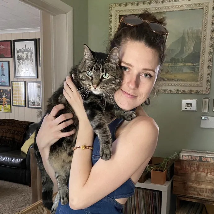 Loving Attentive Care For Your Cats