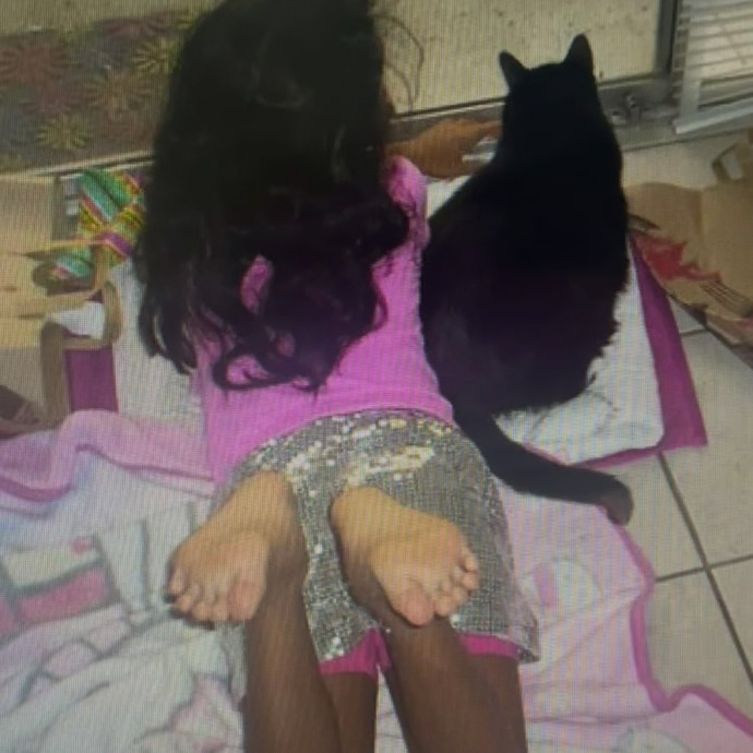You Cats Favorite Sitter photo 2