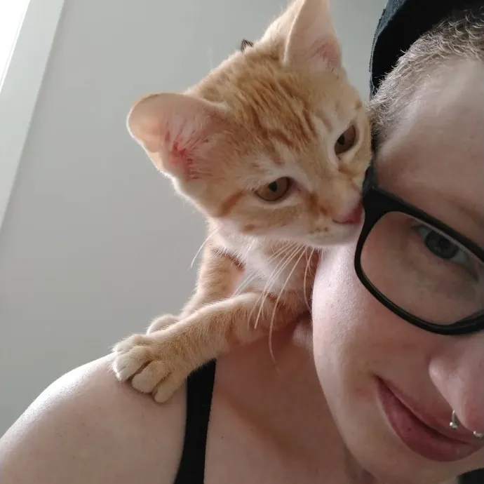 Bmore Bestiary Baltimore Pet Care