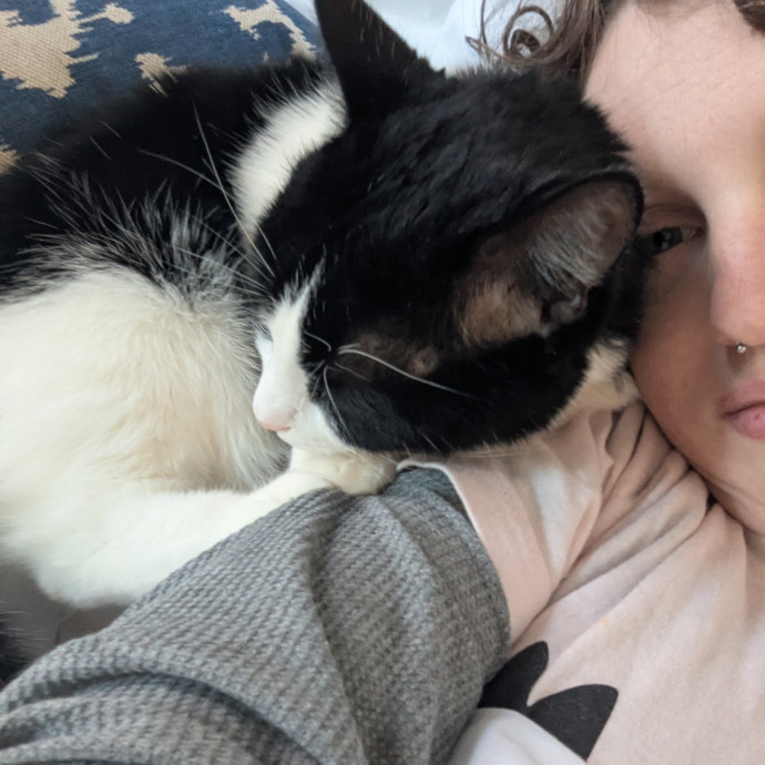 Bmore Bestiary Baltimore Pet Care