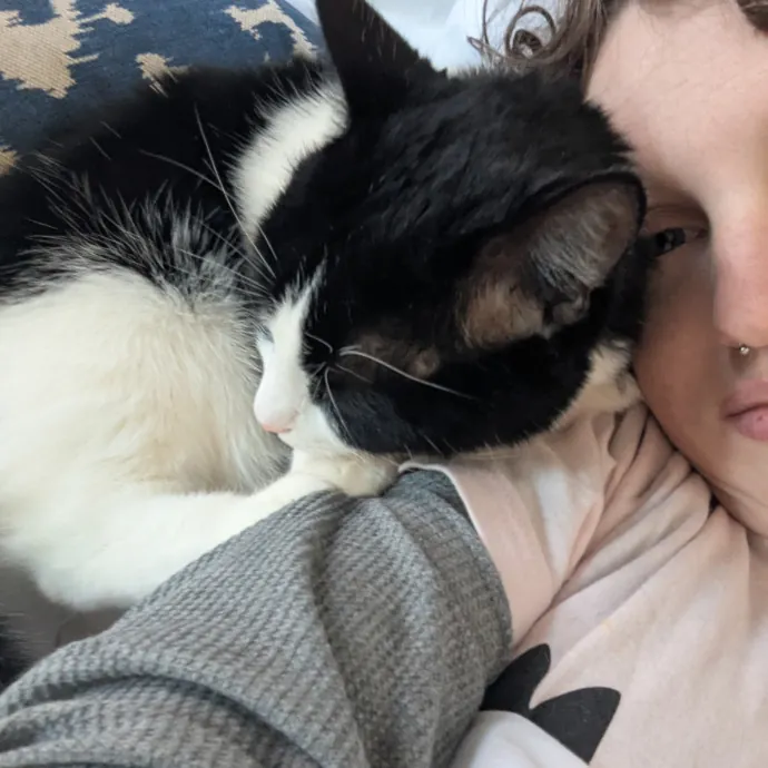 Bmore Bestiary Baltimore Pet Care