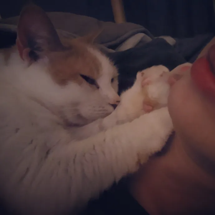 Bmore Bestiary Baltimore Pet Care photo 3