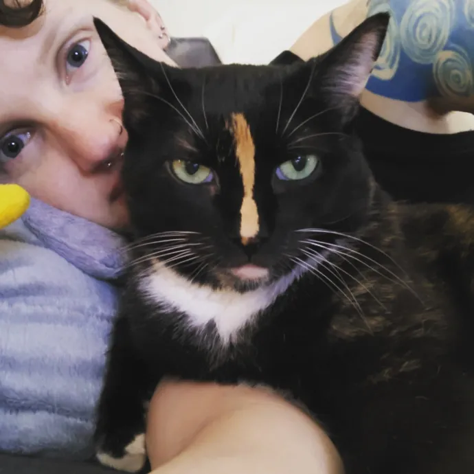 Bmore Bestiary Baltimore Pet Care photo 2