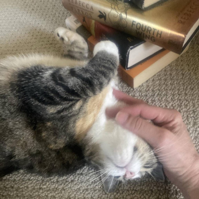 The Happy Cat Lady